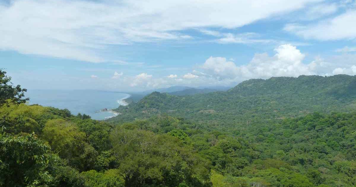 dominical area