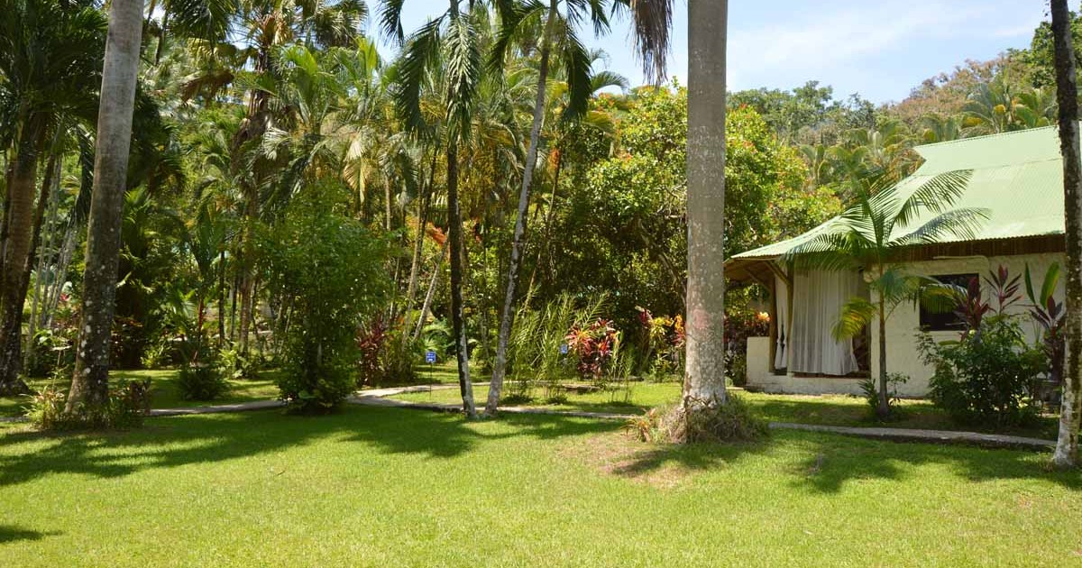 jungle beach wedding costa rica